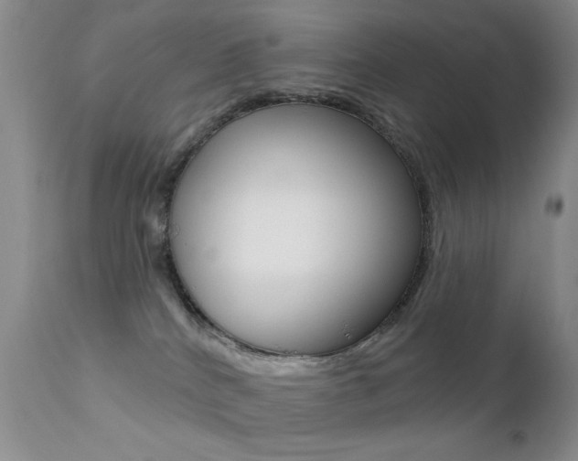 X0000113200040200909100932