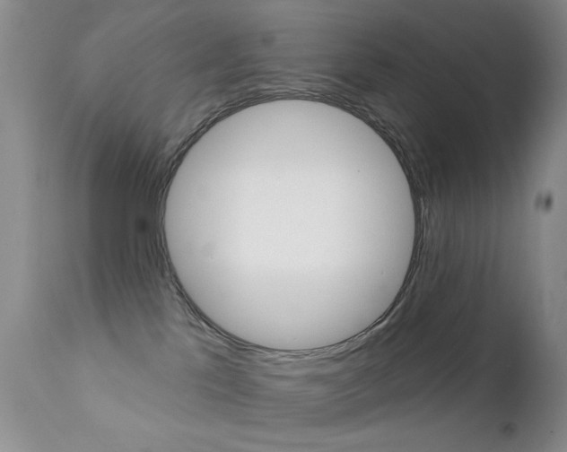 X0000113200041200909100932