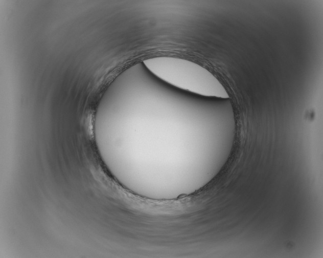 X0000113200042200909100932