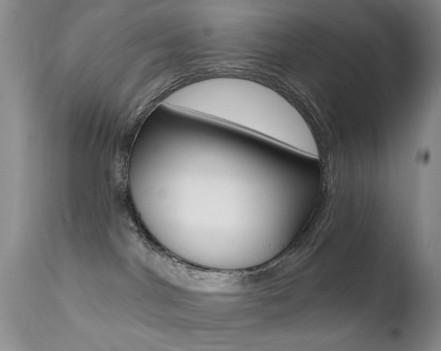 X0000113200044200909100932