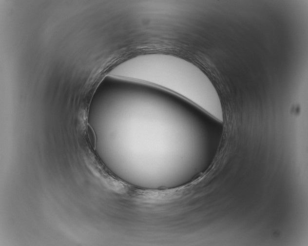 X0000113200045200909100932