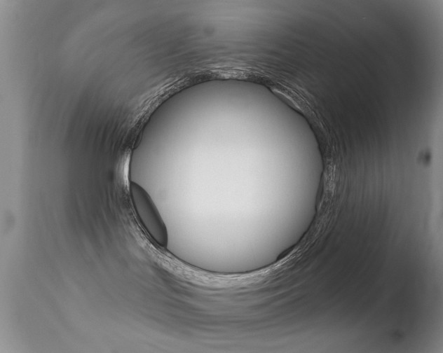 X0000113200047200909100932