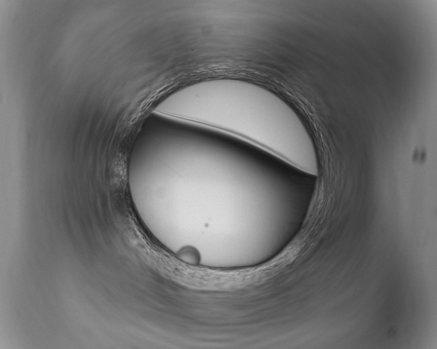 X0000113200048200909100932