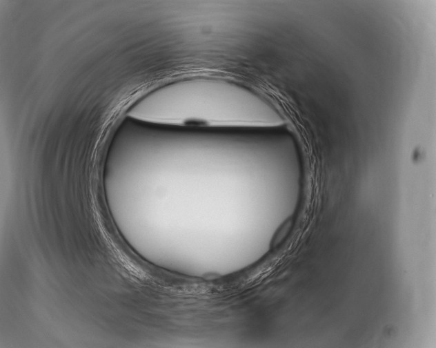 X0000113200049200909100931