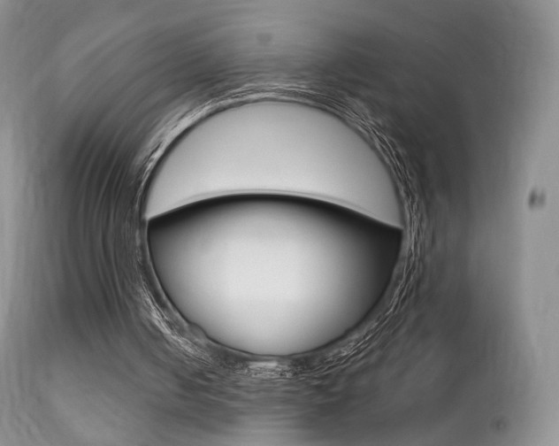 X0000113200050200909100931