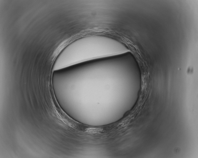 X0000113200051200909100931