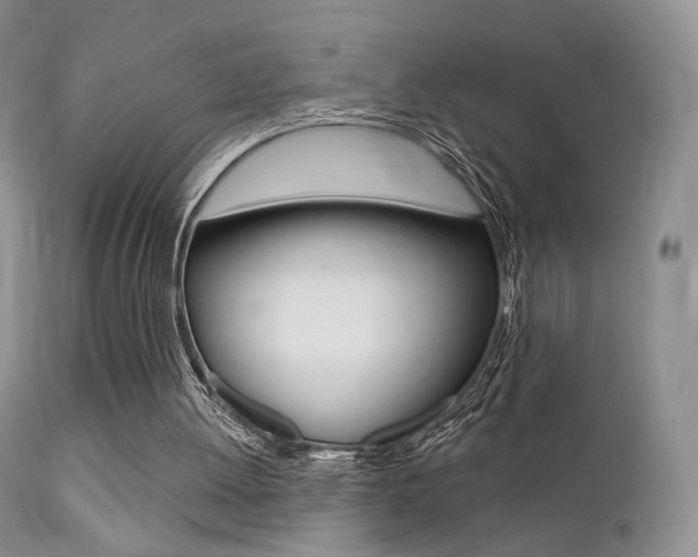 X0000113200052200909100932