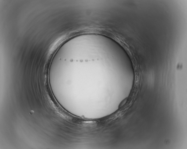 X0000113200053200909100932