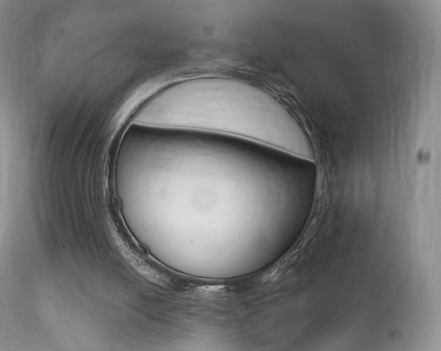 X0000113200054200909100932