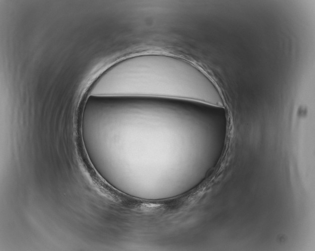 X0000113200055200909100932