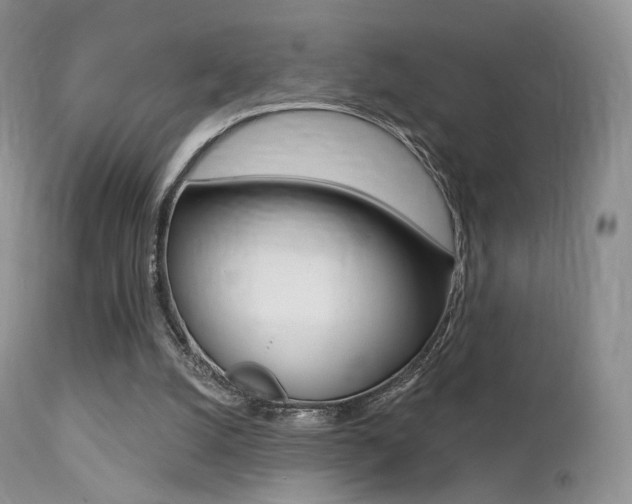 X0000113200056200909100932