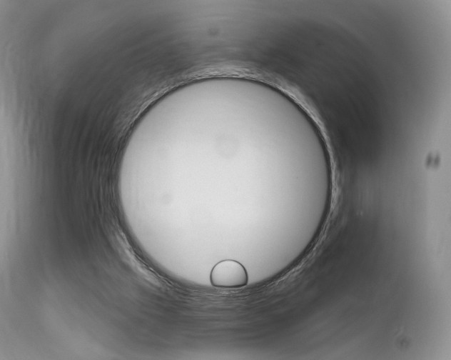 X0000113200057200909100932