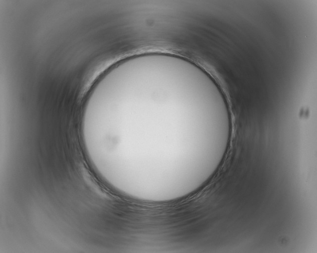 X0000113200060200909100932