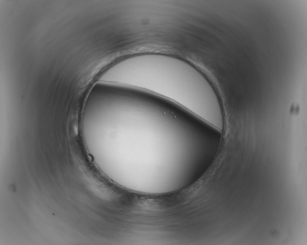 X0000113200062200909100932