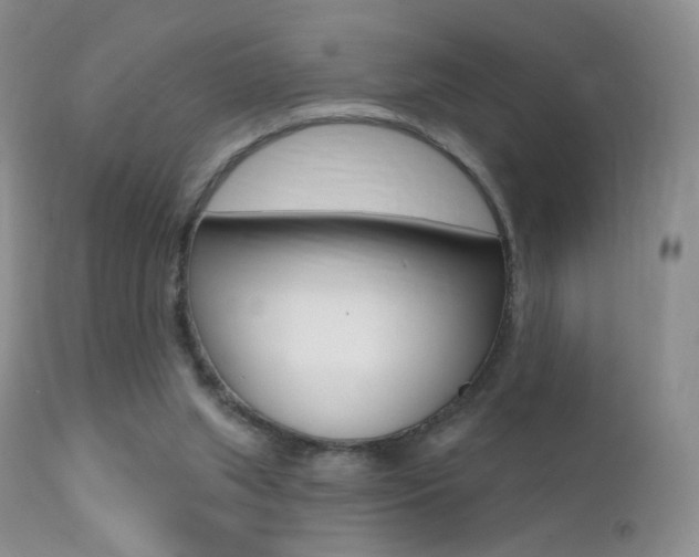 X0000113200063200909100932