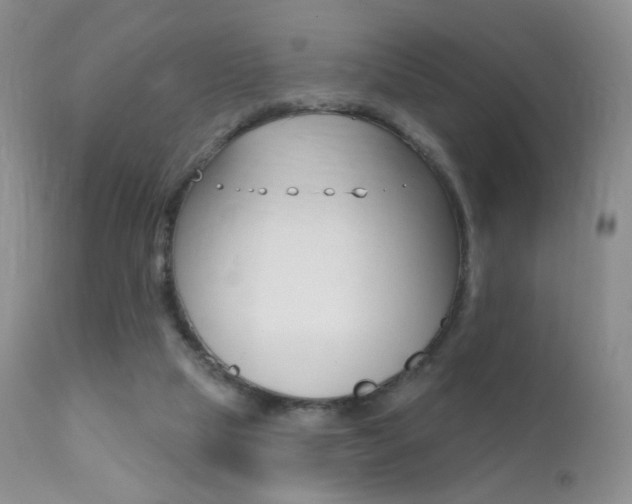 X0000113200065200909100932