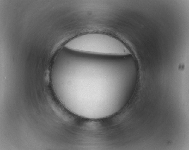 X0000113200067200909100932