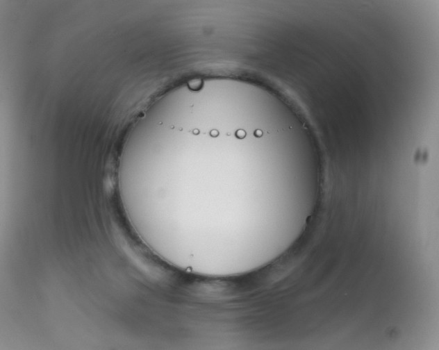 X0000113200069200909100932