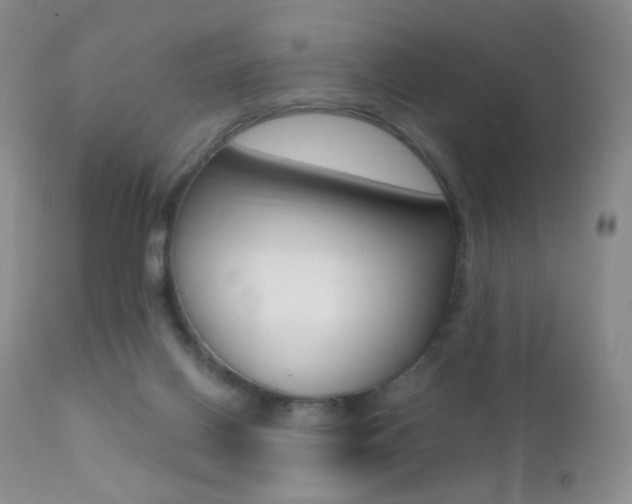 X0000113200070200909100932