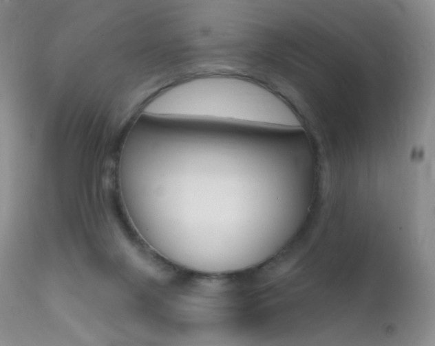 X0000113200071200909100932