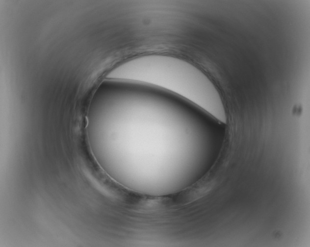 X0000113200072200909100932