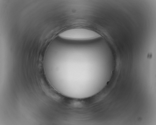 X0000113200073200909100932