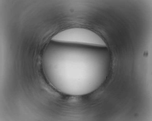 X0000113200077200909100932