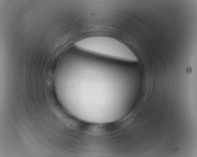 X0000113200078200909100932