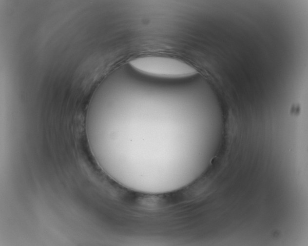 X0000113200079200909100932