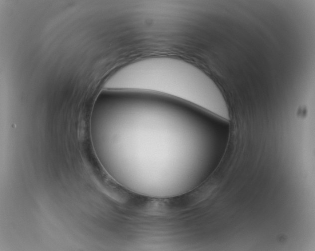 X0000113200080200909100932