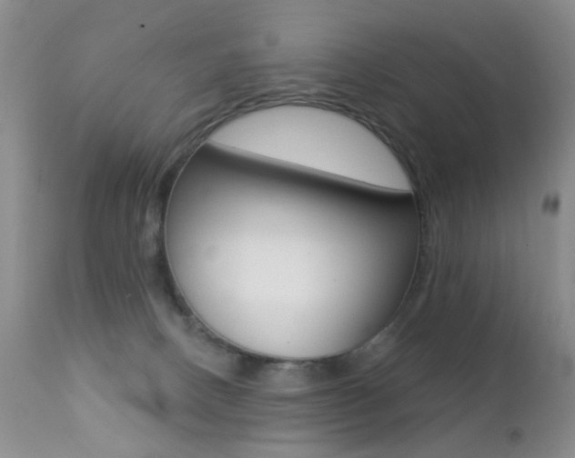 X0000113200082200909100932