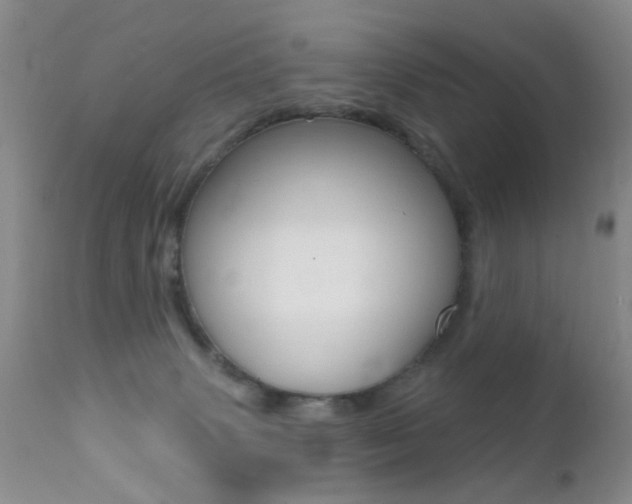 X0000113200083200909100932