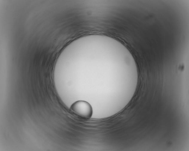 X0000113200084200909100932