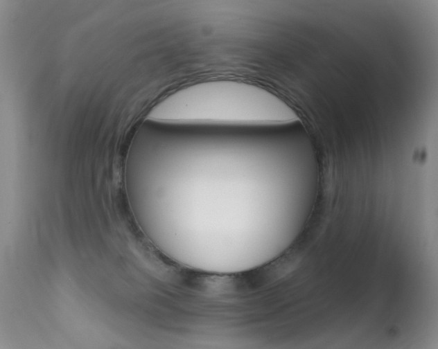 X0000113200085200909100932