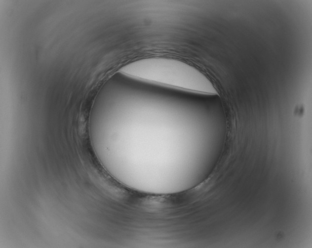 X0000113200086200909100932