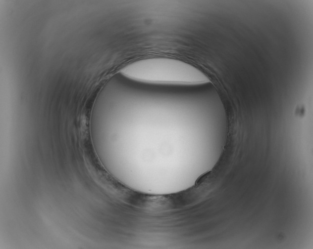 X0000113200087200909100932