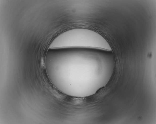 X0000113200089200909100932