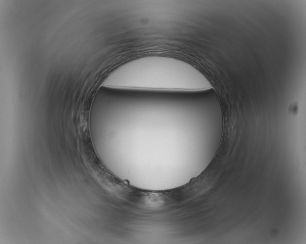 X0000113200091200909100932