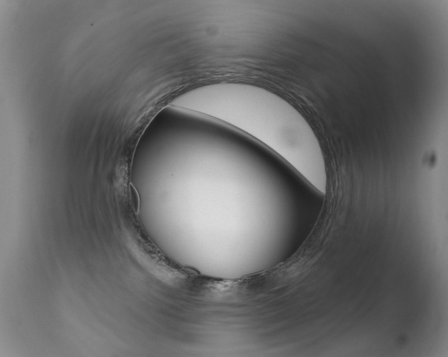 X0000113200092200909100932