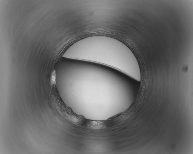 X0000113200095200909100932