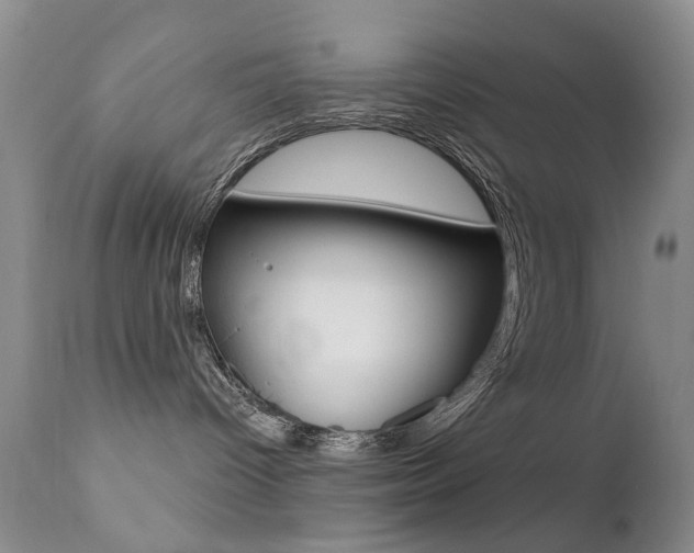 X0000113200096200909100932