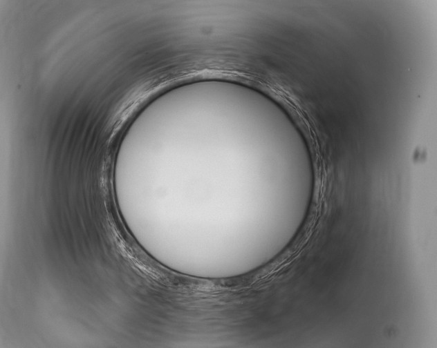 X0000113200098200909100931