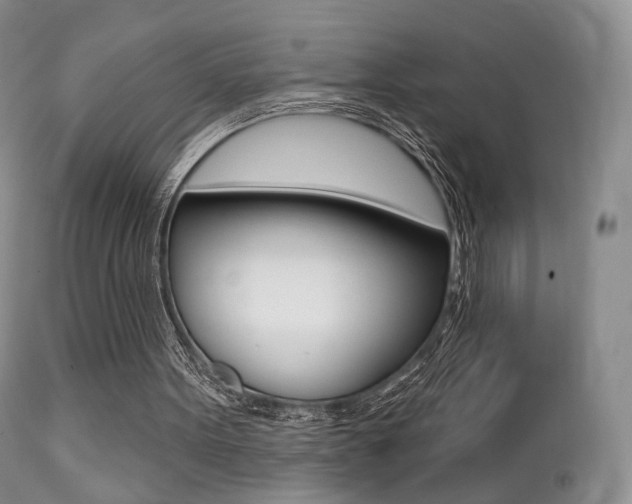 X0000113200099200909100931