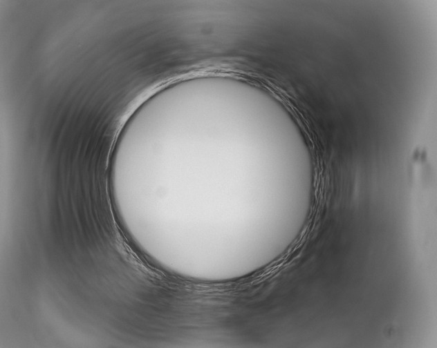 X0000113200100200909100931