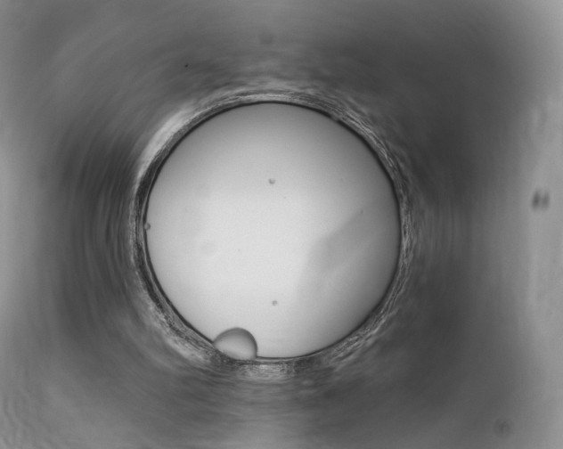 X0000113200102200909100931