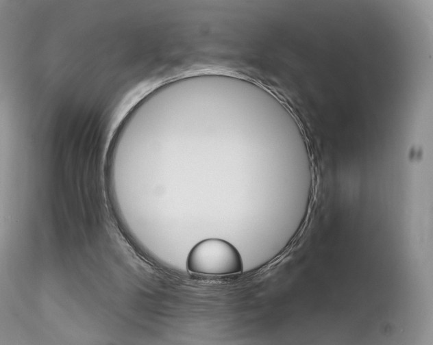 X0000113200104200909100931