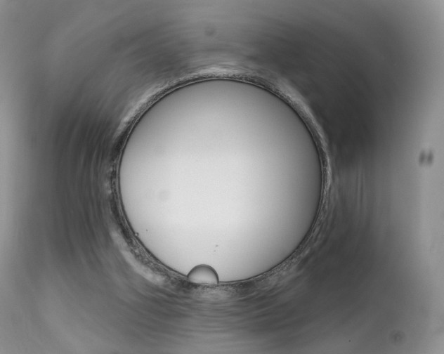 X0000113200106200909100931