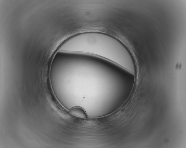 X0000113200107200909100931