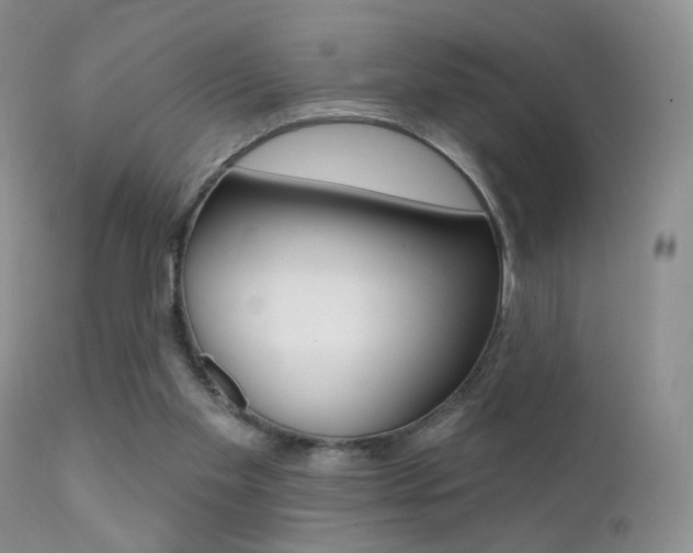 X0000113200109200909100931