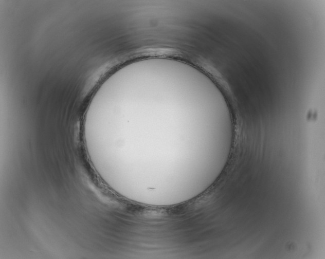 X0000113200110200909100931